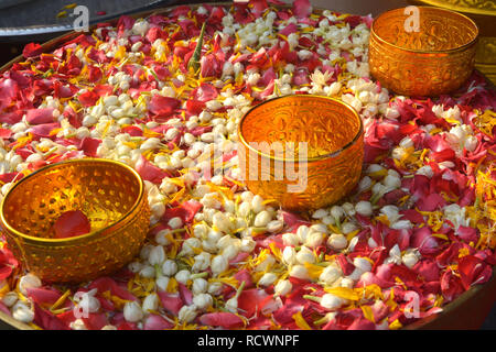 Das Wasser in der Schüssel mit Parfüm und Blumen vermischt, Songkran Festival in Thailand. Stockfoto