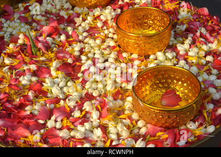 Das Wasser in der Schüssel mit Parfüm und Blumen vermischt, Songkran Festival in Thailand. Stockfoto