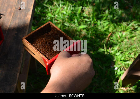Kaffeepulver in Feld aus alten Handschleifmaschine Stockfoto