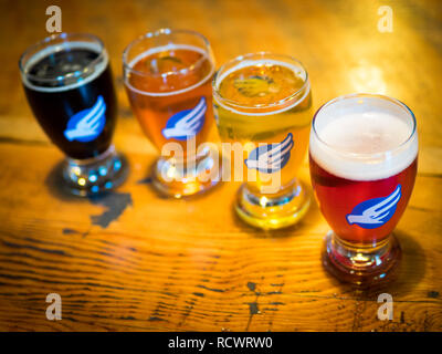 Bier Proben aus der Probierstube der Phillips Brauerei/Mälzerei Co., eine beliebte kanadische Microbrewery in Victoria, British Columbia, Kanada. Stockfoto