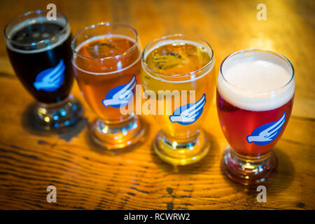 Bier Proben aus der Probierstube der Phillips Brauerei/Mälzerei Co., eine beliebte kanadische Microbrewery in Victoria, British Columbia, Kanada. Stockfoto