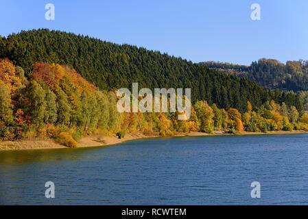 Herbstliche Atmosphäre, Bäume im Herbst am Hennesee, Hennetalsperre, Naturpark Sauerland-Rothaargebirge, Nordrhein-Westfalen Stockfoto