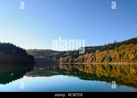 Herbst Wald im Hennesee, Hennetalsperre, Sauerland-Rothaargebirge natur park Park, Nordrhein-Westfalen, Deutschland wider Stockfoto