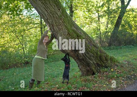 Frau und Hund ein Baum, Schloss Belvedere schloss Gärten, Weimar, Thüringen, PublicGround Stockfoto