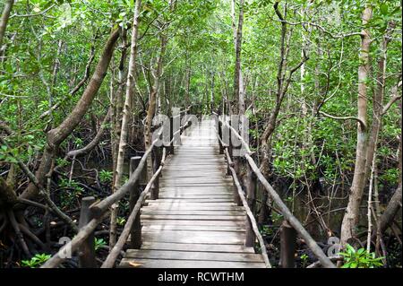 Holzsteg durch Mangroven (Rhizophora), Wald, Jozani-Chwaka-Bay National Park, Sansibar, Tansania Stockfoto