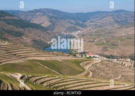 Den Fluss Douro und Portwein Weingärten, Alto Douro, UNESCO-Weltkulturerbe, Tras-os-Montes, Portugal, Europa Stockfoto