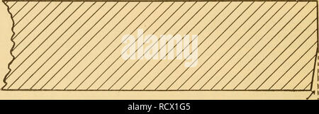 . Beschreibung und Behandlung von Krätze bei Rindern. Krätze bei Rindern. Z^^^^^^^^t^tT^^, Abb. 11.- vertikalen Abschnitt des Schwimmens mwst., mit Ende der Falle.. Abb. 12.-Planke mit der abgeschrägten Kante für calking.. Bitte beachten Sie, dass diese Bilder sind von der gescannten Seite Bilder, die digital für die Lesbarkeit verbessert haben mögen - Färbung und Aussehen dieser Abbildungen können nicht perfekt dem Original ähneln. extrahiert. Hickman, Richard W. (Richard West), 1852-1926. Washington, Govt. drucken. aus. Stockfoto