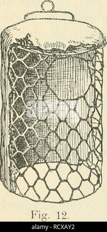 . Der ornithologische Beobachter. Vögel, Vögel. 6, ein Nistkasten eigener Art, der bezüglich Widerstands-fähigkeit dem Vorgenannten nicht nachsteht, unterstützt dabei, Herr Ernst Meier in Rüti (Kanton Zürich) in den Handel. This Steintilz - nisthöhlcn bestehen aus einem festen Drahtgerüst (Abb. 12), um. Bitte beachten Sie, dass diese Bilder sind von der gescannten Seite Bilder, die digital für die Lesbarkeit verbessert haben mögen - Färbung und Aussehen dieser Abbildungen können nicht perfekt dem Original ähneln. extrahiert. Ala, Schweizerische Gesellschaft felkunde und Vogelschutz. [Bern?, Ala, Schweizerisch Stockfoto