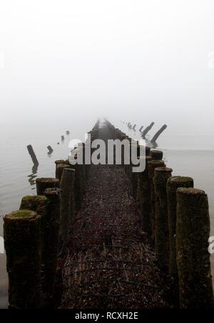 Wellenbrecher, Buhnen, am westlichen Strand, Insel Schutz, Küstenschutz, Nebel, Herbst Stockfoto