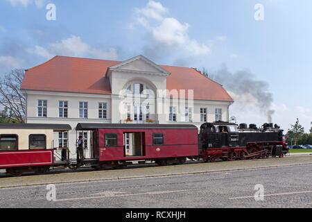 'MOlli', einer Schmalspurbahn, Bad Doberan, Mecklenburg-Vorpommern Stockfoto