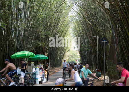 Die Menschen genießen Wandern, Radtouren, Radfahren. Die Passanten auf dem Fahrrad vorbei, durch Bamboo Grove, Parque Ibirapuera, Sao Paulo, Brasilien Stockfoto