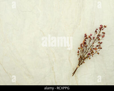 Ansicht von oben Bukett von getrockneten und verwelkt roten Gypsophila Blumen auf matt Marmor Hintergrund mit Kopie Raum Stockfoto