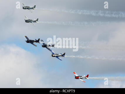 North American T-28 Trojan einen einzigen Motor trainerflying in Formation, wie die Reiter Team in einem Air Show Stockfoto