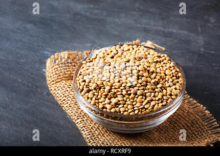 Roh Linsen auf Schwarz Stein Hintergrund. Gesunde vegetarische Essen Konzept. Superfoods. Kopieren Sie Platz. Linsen sind reich an komplexen Kohlenhydraten, Ballaststoffen, hohe Stockfoto