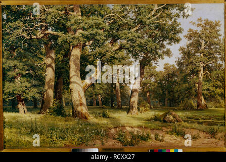 Oak Grove. Museum: Museum der russischen Kunst, Kiew. Autor: SHISHKIN, Iwan Iwanowitsch. Stockfoto