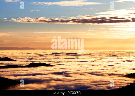 Blick vom Feldberg über das Rheintal zu den Vogesen, inversion Wetterlage, Schwarzwald, Baden-Württemberg, Deutschland Stockfoto