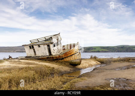 Point Reyes Schiffswrack am Ufer des Tomales Bay in Point Reyes National Seashore thront. Stockfoto