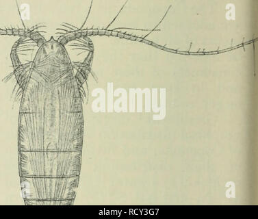 . Die Tiefen des Ozeans; ein allgemeines Konto der modernen Wissenschaft der Ozeanographie, sich weitgehend auf die wissenschaftlichen Forschungen der Norwegischen Dampfgarer Michael Sars im Nordatlantik. Ozeanographie. . Bitte beachten Sie, dass diese Bilder sind von der gescannten Seite Bilder, die digital für die Lesbarkeit verbessert haben mögen - Färbung und Aussehen dieser Abbildungen können nicht perfekt dem Original ähneln. extrahiert. Murray, John, Sir, 1841-1914; Hjort, Johan, 1869 -. London Macmillan Stockfoto