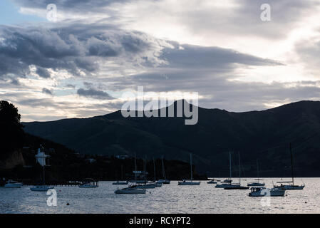 Hafen von Akaroa, auf der Südinsel Neuseeland Stockfoto