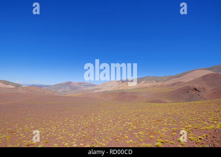 Schöne Berglandschaft in den argentinischen Anden, in der Nähe der Laguna Brava, Paso Pircas Negras, Argentinien, Südamerika Stockfoto