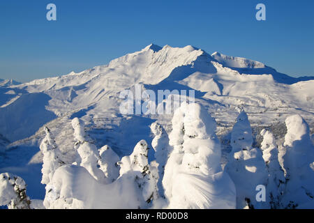Die verschneite Bäume in den Bugaboos, ein Gebirge in die Purcell Mountains, Bugaboo Provincial Park, Britisch Kolumbien Stockfoto