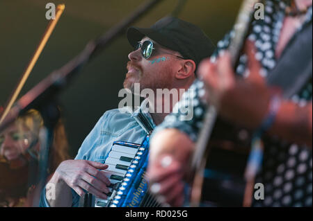 Drei daft Affen auf der Bühne mit Roy Harter an den Bärtigen Theorie Festival Stockfoto