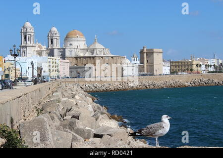 Der Blick auf die Kathedrale von Cadiz mit einer Möwe auf das Meer neben der Stockfoto