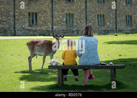 Knole Park Haus und Gärten, Sevenoaks, Kent Stockfoto