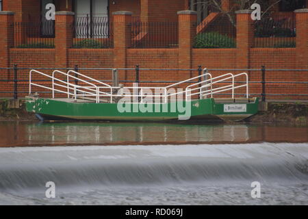 Butt's Ferry, wusch sich den Fluss Exe an Trews Wehr. Devon, UK. Stockfoto