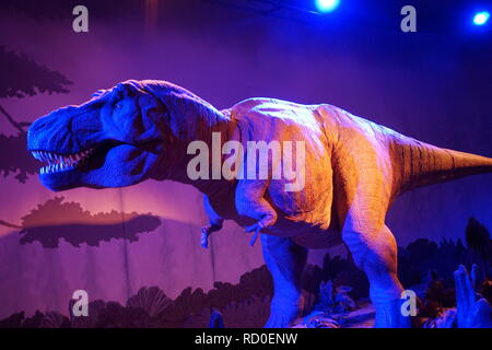 Tyrannosaurus rex in der Dinosaurier Galerie am Natural History Museum, London Stockfoto