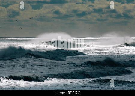 Silhouette von Surfers Paddeln über brechenden Wellen, Jersey Shore, New Jersey, United States Stockfoto