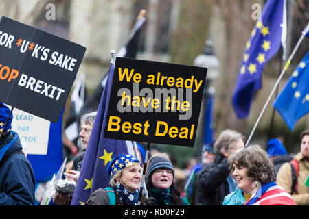 LONDON, UK, 15. JANUAR 2019: Anti Brexit Mitkämpfer Rallye außerhalb der Häuser von Parlament in Westminster über die brexit deal Abstimmung Stockfoto
