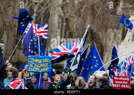 LONDON, UK, 15. JANUAR 2019: Anti Brexit Mitkämpfer Rallye außerhalb der Häuser von Parlament in Westminster über die brexit deal Abstimmung Stockfoto