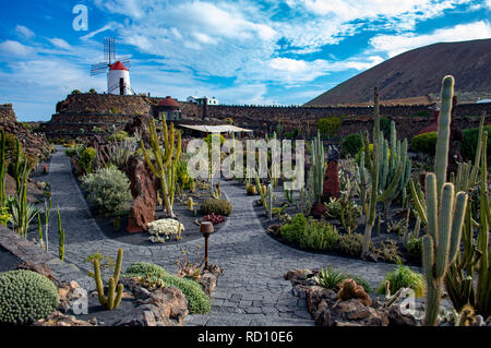 Der Jardin de Cactus in Lanzarote, Kanarische Inseln Stockfoto