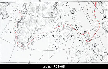 . Die dänische Ingolf-Expedition. Marine Tiere - arktischen Regionen; Wissenschaftliche Expeditionen; arktischen Regionen. Ich 82 HYDROIDA II Beide Arten kommen in der Davis Strait, sehr häufig auf beiden Seiten des O° isotherm, aber nicht weiter in die Tiefe von der Küste Banken gehen. Beide sind jedoch offenbar völlig fehlt entlang der Ostküste von Grönland südlich von 76°N. Dies kann wegen Mangel an Untersuchungen, aber es scheint wahrscheinlich, dass der Grund eher in der Tatsache, dass das Wasser wegen der umfangreichen interming-Lino - von frischem und eiskalte Gletscherwasser ist schlecht in geeigneten Formen der nouris gesucht werden Stockfoto