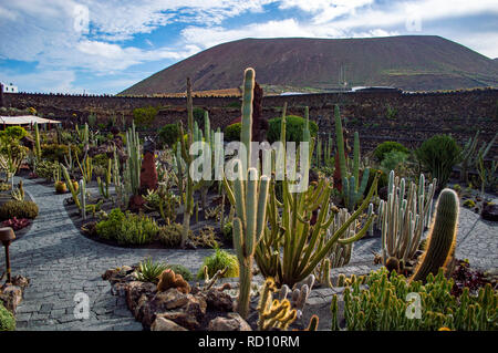 Der Jardin de Cactus in Lanzarote, Kanarische Inseln Stockfoto