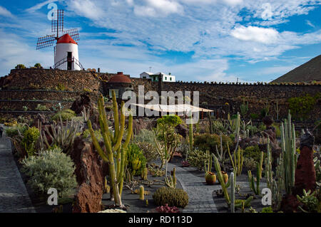 Der Jardin de Cactus in Lanzarote, Kanarische Inseln Stockfoto