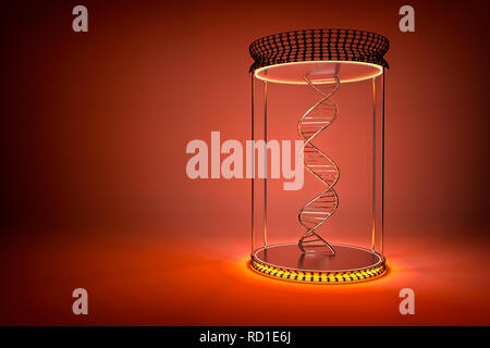 DNA-Doppelhelix in show-case mit Orange, dunkle Farbe Hintergrund Stockfoto