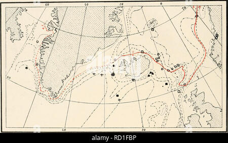 . Die dänische Ingolf-Expedition. Wissenschaftliche Expeditionen; Arktischen Ozean. l 82 HYDROIDA II beide Arten in der Davis Strait auftreten, sehr häufig auf beiden Seiten des O° isotherm, aber nicht weiter in die Tiefe von der Küste Banken gehen. Beide sind jedoch offenbar völlig fehlt entlang der Ostküste von Grönland südlich von 76°N. Dies kann wegen Mangel an Untersuchungen, aber es scheint wahrscheinlich, dass der Grund eher in der Tatsache, dass das Wasser wegen der umfangreichen interming-ling von frischem und eiskalte Gletscherwasser ist schlecht in geeigneten Formen der Ernährung, und ungünstige zum Wachstum gesucht werden Stockfoto