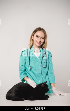 Freundliche weibliche Tierarzt in der Nähe von Black Cat auf grauem Hintergrund Stockfoto