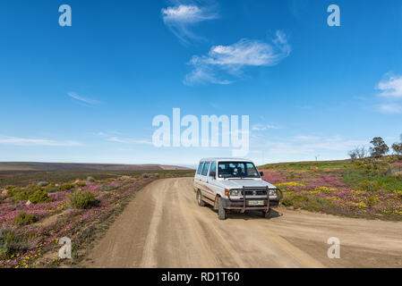 TANKWA KAROO NATIONAL PARK, SÜDAFRIKA, 31. AUGUST 2018: eine Straße Landschaft mit Lila und Gelb wilde Blumen in der Nähe von Gannaga Lodge in der Tankwa Karoo Stockfoto