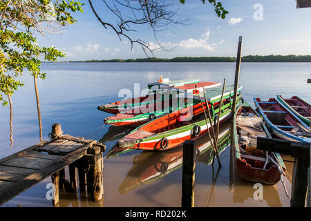 Bunte traditionelle Boote auf dem Fluss Suriname Suriname Stockfoto