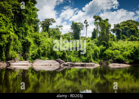 Blick auf den Suriname Fluss im oberen Suriname, awarradam Jungle Camp Stockfoto