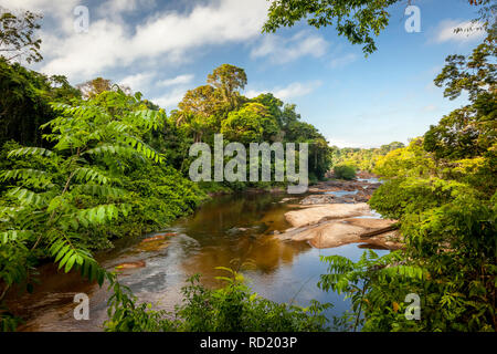 Blick auf den Suriname Fluss im oberen Suriname, awarradam Jungle Camp Stockfoto