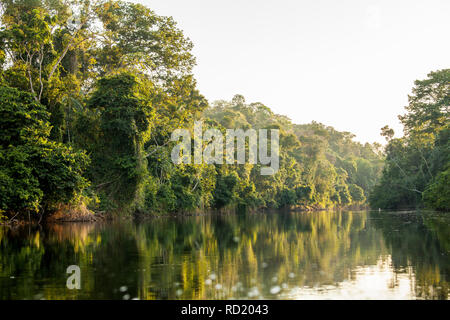 Blick auf den Suriname Fluss im oberen Suriname, awarradam Jungle Camp Stockfoto