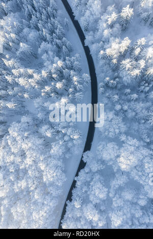 Luftaufnahme von eine kurvenreiche Straße durch verschneite Bäume, Gaisberg, Salzburg, Österreich Stockfoto