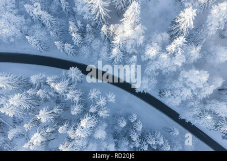 Luftaufnahme von eine kurvenreiche Straße durch verschneite Bäume, Gaisberg, Salzburg, Österreich Stockfoto