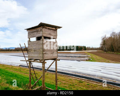 Überwachung der Jagd chalet nächsten Plantage Feld im ländlichen Gebiet mit mehreren Zeilen mit Sonne - Schutz Folie während Winter Frühling - moderne Bio Landwirtschaft zu Spargel. Stockfoto