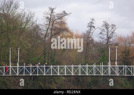 Trews Wehr Hängebrücke über den Fluss Exe auf einem grauen Wintertag. Exeter, Devon, Großbritannien. Stockfoto