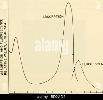 . Zytologie. Zytologie. Fluoreszenzmikroskopie Das fluoreszenzmikroskop nutzt die Tatsache, dass bestimmte Stoffe sichtbares Licht aussenden, wenn sie mit UV-Licht, ultraviolette Strahlung, oder Blau beleuchtet. Diese Eigenschaft ist als Autofluoreszenz und. Fluoreszenz 300 340 380 420 460 500 Wellenlänge, m X 540 580 Abbildung 11-27. Grafik, Absorption und Fluoreszenz-Spektren von Natrium Fluorescein. (Von Mellors, R.C. 1959. "Fluorescent-Antibody Methode", in Mellors, R.C. (Hrsg.), "analytischen Zytologie", 2nd Ed. McGraw-Hill Book Co., Inc., New York, N.Y., Abb. 1.8, Stockfoto